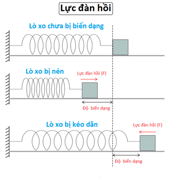 Lý thuyết Vật Lí 10 Bài 33: Biến dạng của vật rắn - Kết nối tri thức (ảnh 1)