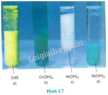 Giải Hóa Học 11 Bài 5: Luyện tập: Axit, bazơ và muối. Phản ứng trao đổi ion trong dung dịch các chất điện li (ảnh 1)