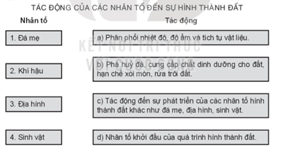 Sách bài tập Địa lí 10 Bài 14: Đất trên Trái Đất - Kết nối tri thức (ảnh 1)