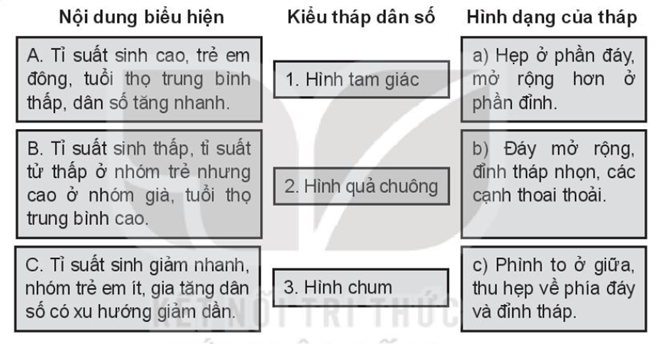 Sách bài tập Địa lí 10 Bài 19: Quy mô dân số, gia tăng dân số và cơ cấu dân số trên thế giới - Kết nối tri thức (ảnh 1)