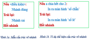 Giáo án Tin học 10 Bài 6 (Cánh diều 2023): Câu lệnh rẽ nhánh (ảnh 1)