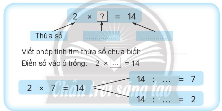 Vở bài tập Toán lớp 3 Tập 1 trang 18 Bài 8: Tìm thừa số - Chân trời sáng tạo (ảnh 1)