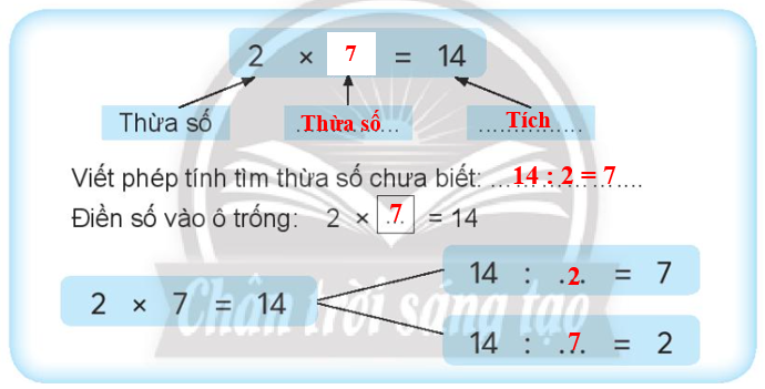 Vở bài tập Toán lớp 3 Tập 1 trang 18 Bài 8: Tìm thừa số - Chân trời sáng tạo (ảnh 1)