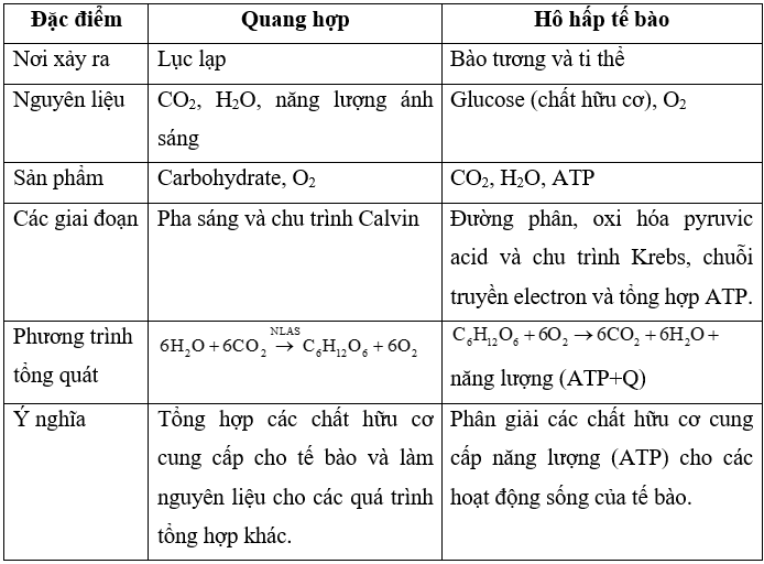 Sách bài tập Sinh học 10 Chủ đề 6: Trao đổi chất và chuyển hóa năng lượng ở tế bào - Cánh diều (ảnh 1)