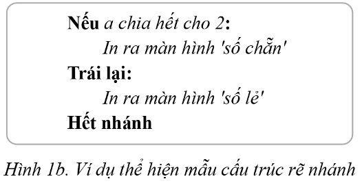 Tin học 10 Bài 6: Câu lệnh rẽ nhánh | Cánh diều (ảnh 1)