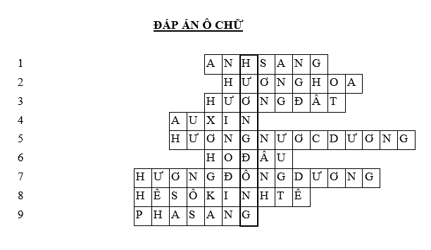 Giáo án Sinh học 11 Bài 23: Hướng động mới nhất (ảnh 2)