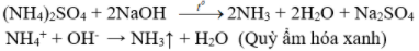 Giải Hóa Học 11 Bài 8: Amoniac và muối amoni (ảnh 21)