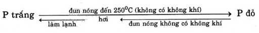 Giải Hóa Học 11 Bài 10: Photpho (ảnh 2)