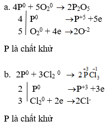 Giải Hóa Học 11 Bài 10: Photpho (ảnh 3)