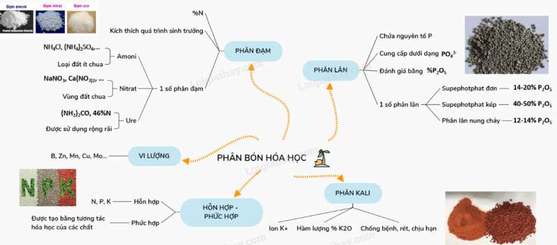 Giải Hóa Học 11 Bài 12. Phân bón hóa học (ảnh 8)