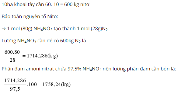 Giải Hóa Học 11 Bài 13: Luyện tập: Tính chất của Nitơ, photpho và các hợp chất của chúng (ảnh 8)