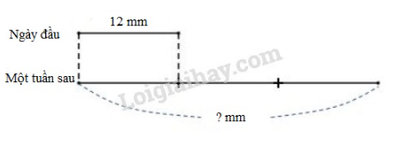 Toán lớp 3 trang 86 Luyện tập | Kết nối tri thức (ảnh 5)