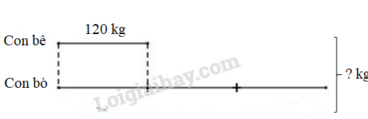 Toán lớp 3 trang 111 Luyện tập | Kết nối tri thức (ảnh 7)