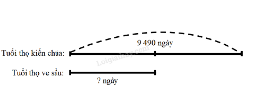 Toán lớp 3 trang 50 Hoạt động | Kết nối tri thức (ảnh 9)