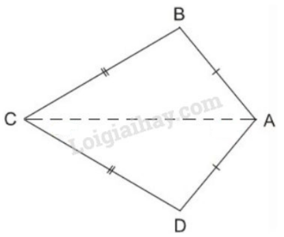 Giải Toán 8 Bài 1: Tứ giác (ảnh 9)