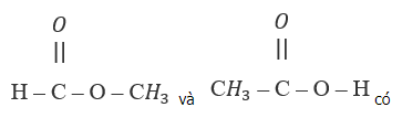  SBT Hóa học 11 Bài 22: Cấu trúc phân tử hợp chất hữu cơ | Giải SBT Hóa học lớp 11 (ảnh 1)