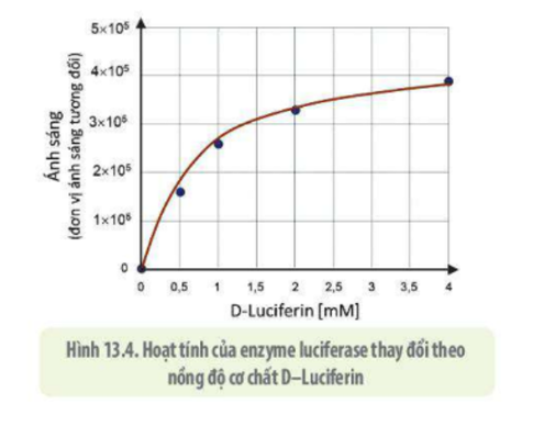 Lý thuyết Sinh học 10 Bài 13 (Chân trời sáng tạo): Chuyển hóa vật chất và năng lượng trong tế bào (ảnh 9)