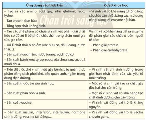 Lý thuyết Sinh học 10 Bài 27 (Chân trời sáng tạo): Ứng dụng vi sinh vật trong thực tiễn (ảnh 1)