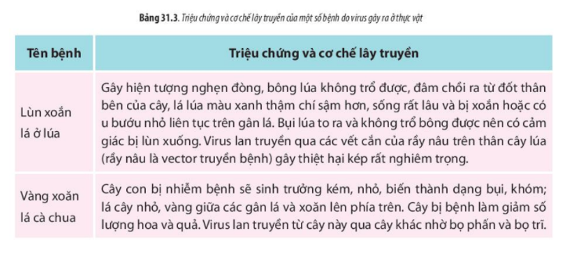 Lý thuyết Sinh học 10 Bài 31 (Chân trời sáng tạo): Virus gây bệnh (ảnh 7)