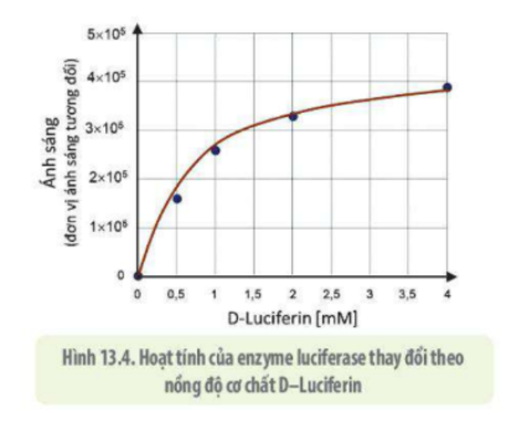 Lý thuyết Sinh học 10 Bài 10 (Cánh diều): Sự chuyển hóa năng lượng và enzyme (ảnh 7)