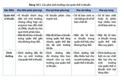 Lý thuyết Sinh học 10 Bài 18 (Cánh diều): Sinh trưởng và sinh sản ở vi sinh vật (ảnh 2)