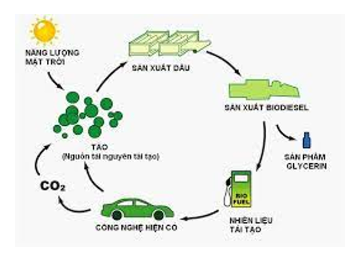 Lý thuyết Sinh học 10 Bài 19 (Cánh diều): Quá trình tổng hợp, phân giải ở vi sinh vật và ứng dụng (ảnh 5)