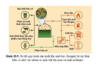 Lý thuyết Sinh học 10 Bài 20 (Cánh diều): Thành tựu của công nghệ vi sinh vật và ứng dụng của vi sinh vật (ảnh 5)