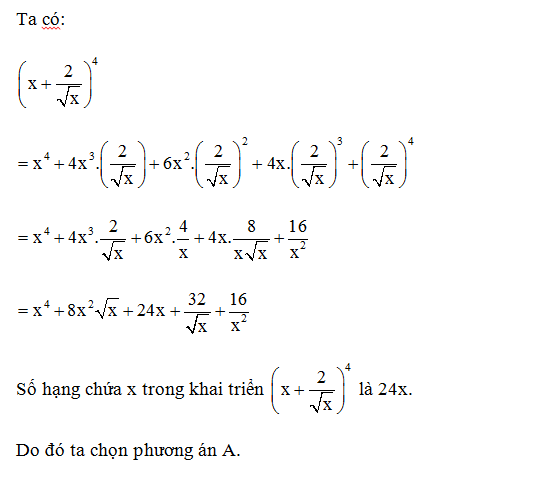 TOP 20 câu Trắc nghiệm  Nhị thức Newton - Toán 10 Chân trời sáng tạo (ảnh 1)