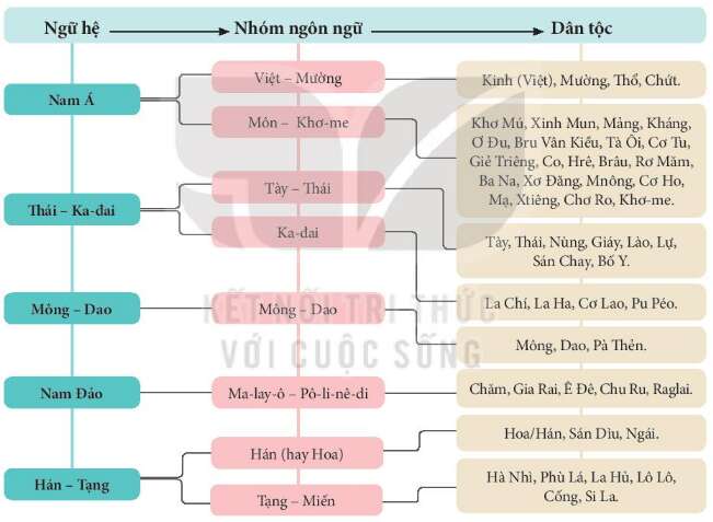 Lịch Sử 10 Bài 13: Đời sống vật chất và tinh thần của cộng đồng các dân tộc Việt Nam | Kết nối tri thức  (ảnh 3)