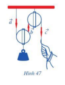 Bài 5 trang 82 Toán lớp 10 Tập 1 I Cánh diều (ảnh 1)