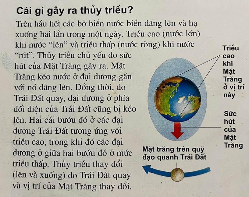 Lý thuyết Bài 13: Nước biển và đại dương - Chân trời sáng tạo (ảnh 1)