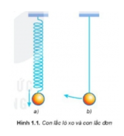 Giáo án Vật Lí 11 Bài 1 (Kết nối tri thức 2023): Dao động điều hòa (ảnh 3)