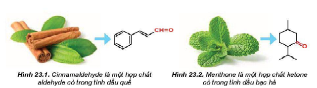 Giáo án Hóa học 11 Bài 23 (Kết nối tri thức 2023): Hợp chất carbonyl (ảnh 1)