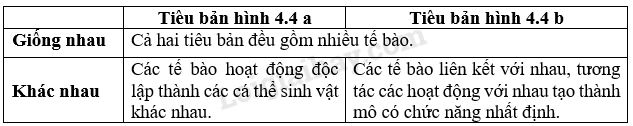 Sinh học 10 Bài 4: Khái quát về tế bào | Giải Sinh 10 Chân trời sáng tạo (ảnh 3)