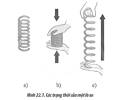 Sách bài tập Vật lí 10 Bài 22: Biến dạng của vật rắn. Đặc tính của lò xo - Chân trời sáng tạo (ảnh 1)