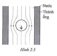 Sách bài tập Vật lí 10 Chủ đề 2: Lực và chuyển động - Cánh diều (ảnh 1)