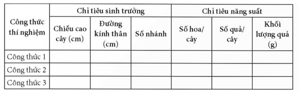 Học sinh viết báo cáo thực hành theo các nội dung sau