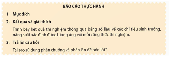 Học sinh viết báo cáo thực hành theo các nội dung sau