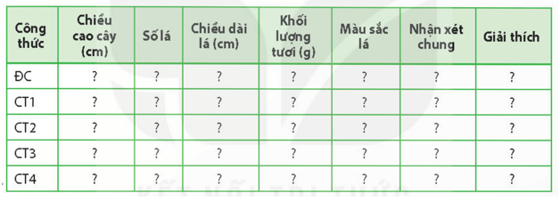 Học sinh viết báo cáo thực hành theo các nội dung sau