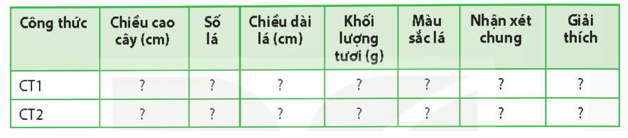 Học sinh viết báo cáo thực hành theo các nội dung sau