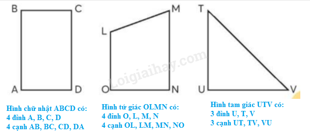 Toán lớp 3 Mi-li-mét trang 21, 22 | Chân trời sáng tạo (ảnh 2)