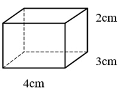 15 Bài tập Biểu thức số, biểu thức đại số (có đáp án) | Chân trời sáng tạo Trắc nghiệm Toán 7 (ảnh 3)