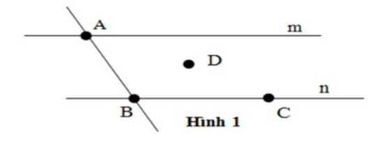 Bài tập trắc nghiệm Điểm. Đường thẳng có đáp án | Toán lớp 6 Cánh diều