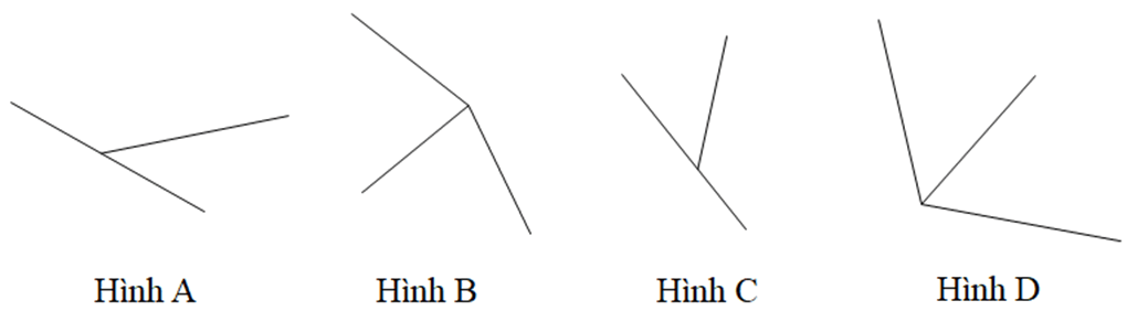 15 Bài tập Hình hộp chữ nhật. Hình lập phương (có đáp án) | Cánh diều Trắc nghiệm Toán 7