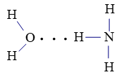 Trắc nghiệm Hóa 10 Chân trời sáng tạo Bài 11 (có đáp án): Liên kết hydrogen và tương tác van der waals