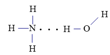 Trắc nghiệm Hóa 10 Chân trời sáng tạo Bài 11 (có đáp án): Liên kết hydrogen và tương tác van der waals