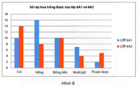 Bài tập trắc nghiệm Biểu đồ cột kép có đáp án | Toán lớp 6 Cánh diều