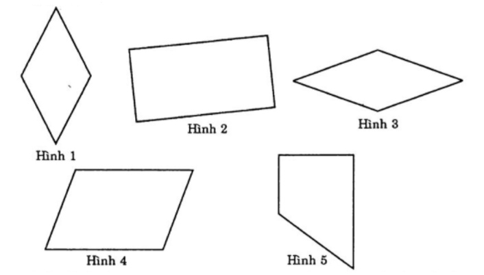 7 câu Trắc nghiệm Hình chữ nhật – Hình thoi – Hình bình hành – Hình thang cân (Chân trời sáng tạo) có đáp án – Toán 6 (ảnh 2)