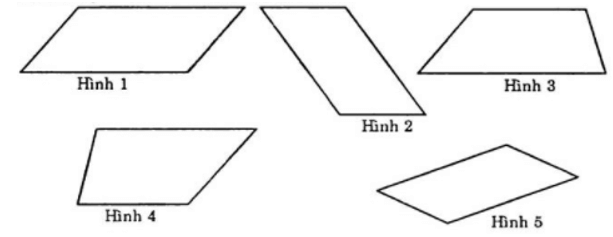 Bài tập trắc nghiệm Hình bình hành có đáp án | Toán lớp 6 Cánh diều