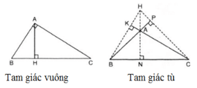 15 Bài tập Sự đồng quy của ba đường trung trực, ba đường cao trong một tam giác (có đáp án) | Kết nối tri thức Trắc nghiệm Toán 7